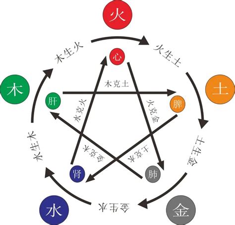 五行金多缺木|命中五行缺木的人怎么办 八字五行缺木怎么补